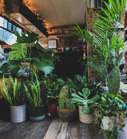 Skoolies built By Nomadic Homes Bus Conversion Team